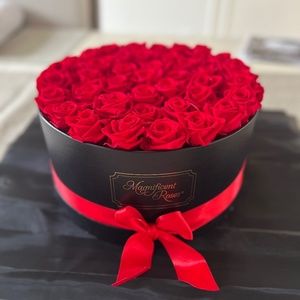 Meet your Posher, Marie